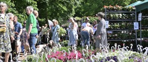Bangsbo Blomsterfestival klar til blomstrende weekend