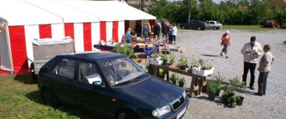 Torvemarkeder på den gamle krogrund
