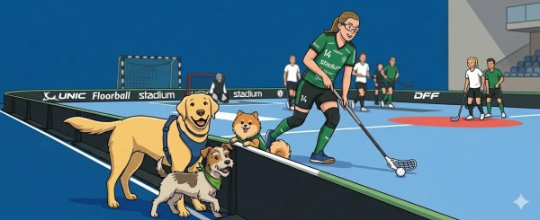 Hundenes Dag og Floorball på Sæby Torv