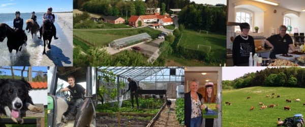 Vandretur i Vesterskov med Kræftens Bekæmpelse