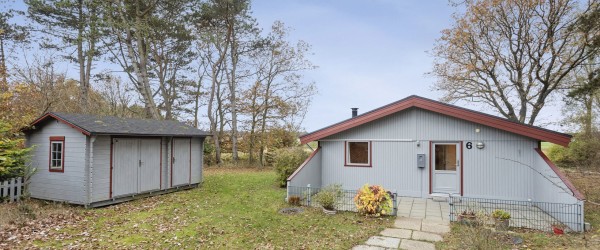 Hyggeligt fritidshus i skovkanten ved Lyngså
