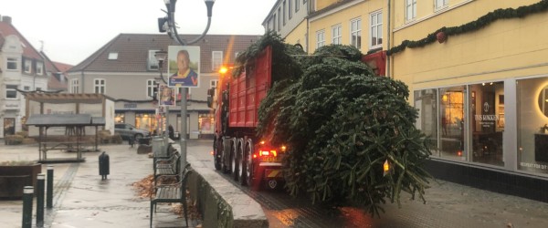 Så er juletræet ankommet til Sæby Torv