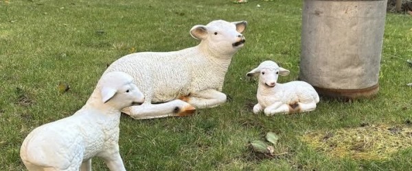 Der er rykket dyr ind på Rosengården