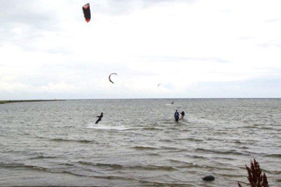 DSC00719_600x400