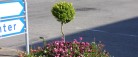 Ekstra knald på blomsterkummerne