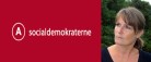 Hvad kan samle byrådet og udvikle kommunen?