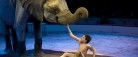 Traditionen tro gæster Cirkus Arena Sæby