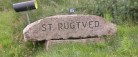 Lokale besigtiger borgvoldene på St. Rugtved