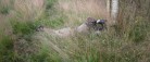 Kæmpe Paintball bane åbner i Lyngså