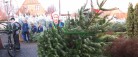 Spejdernes juletræssalg starter snart!