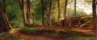 “Sommerglæder 2013” søger Sæby-kunst fra private hjem