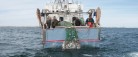 Lokal virksomhed på vej til fiskeeventyr i Bangladesh