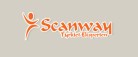 Scanway/Tyrkiet Eksperten har begæret sig konkurs