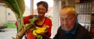 Så blev der høstet bananer på Sæby Ældrecenter