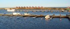 Stille år i Voerså Fiskerleje<br>…