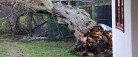 Klar til storm og rusk?<br>…