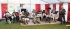 Harmonikamusik ved åen<br>…