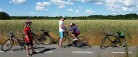 Oplev Sæby på cykel<br> i et fantastisk område
