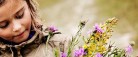 Kom og oplev Naturens Dag i Professorens Plantage