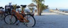Frederikshavns bycykler er kendte og populære