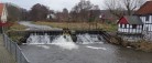 Ældre Sagens Landsformand<br> beklager lokale udtalelser