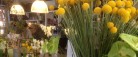 Bellis Blomster i Sæby har<br> pyntet flot op til Påske