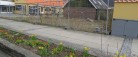 Foråret blomstrer<br> heldigvis også i Sæby