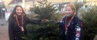 Spejdere sælger juletræer af bedste kvalitet