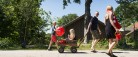 Home udgiver fif til sommerhus-elskere