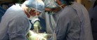 Organdonation: Få hjælp til at tage stilling
