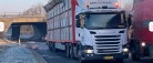 Grisetransport påkørte bro ved Sæby