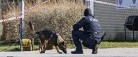 32-årig anholdt efter ung mands død