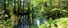 Kom med ud i naturen<br>…