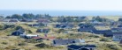 Kommunen bekæmper hybenroser ved Strandpromenaden i uge 46