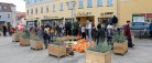 Børnene fra Sæby Friskole har pyntet torvet i efterårsstemning