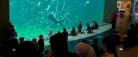 Børnefamilier på bustur til Oceanariet i Hirtshals