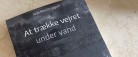 Anja Lagoni fra Sæby udgiver roman om hverdagspsykopatens spil