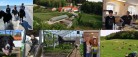 Vandretur i Vesterskov med Kræftens Bekæmpelse