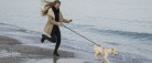 1. april skal hunden i snor på stranden