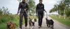 Støt Nordjyllands hunde og få en dag med familien