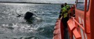 Kæntret sejljolle med mand ombord udløste alarm