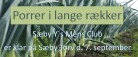 Sæby Y’s Mens Klub: Årgang 2024 er nu klar!