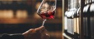 Den perfekte løsning for enhver vinentusiast
