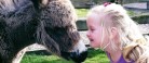 Farm Fun – 30 år med dyr