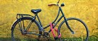 Knap 2.200 cykeltyverier i Nordjylland i 2025