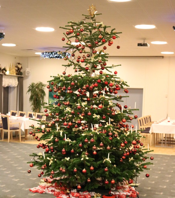Juletræ HV