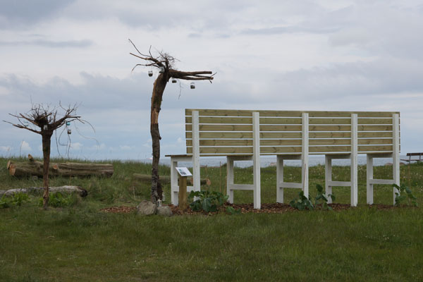 DSC03112_600x400