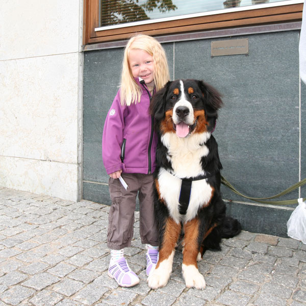 IMG_3526_600x600