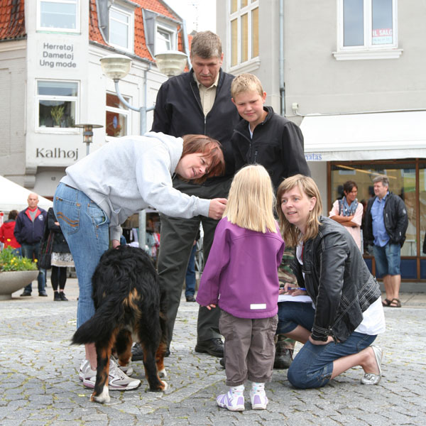 IMG_3550_600x600