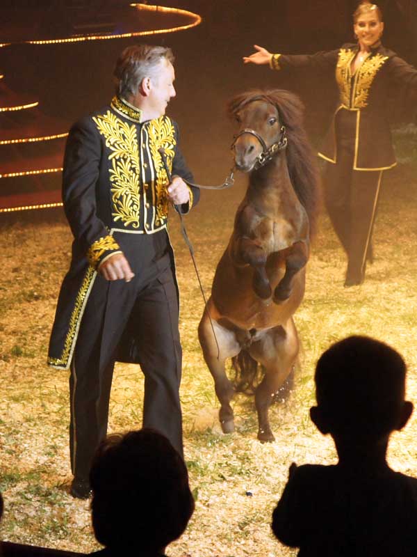 Hest_600x800